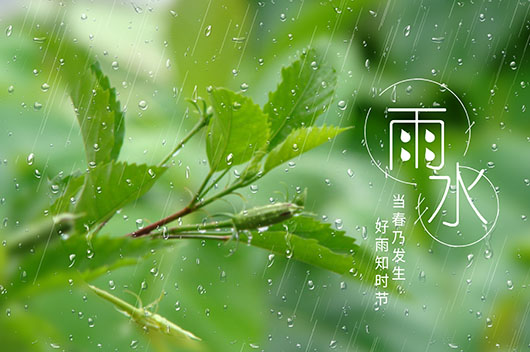 雨水节气如何养生