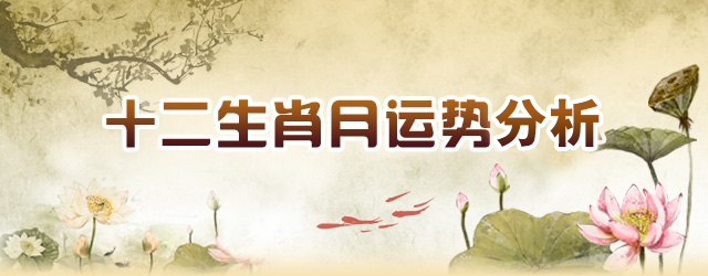 顶部图片