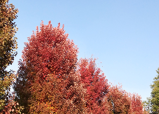 十个手指纹路都是簸箕的女人命运性格好吗