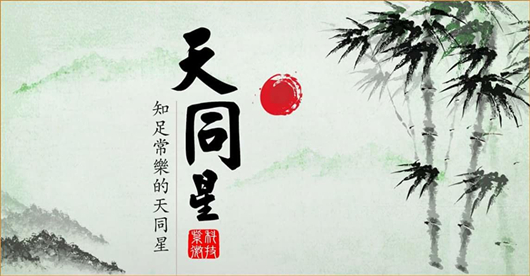 天同星的双星同宫组合