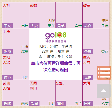 八字排盘后怎么解读自己的命盘 八字排盘怎么解读 二安网
