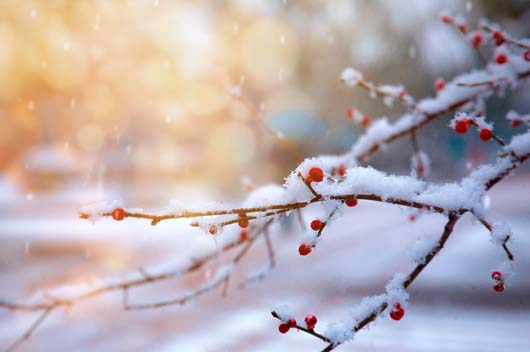 双鱼座2019年12月运势最旺的是哪几天