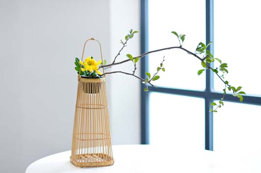 偏官格是什么意思