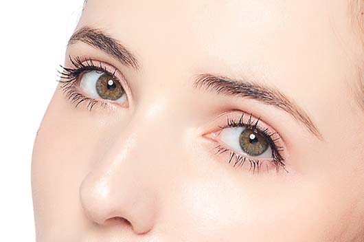 剑脊鼻面相分析