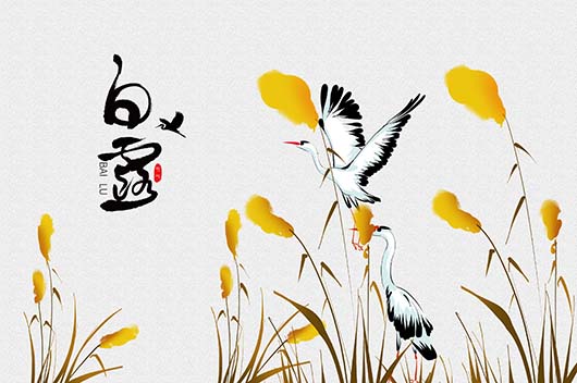 白露前后,这几大生肖将迎来好运!