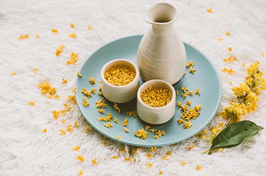 狮子座年10月运势详解