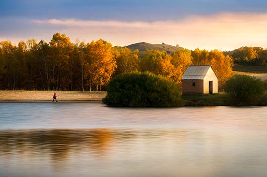 摩羯座年11月运势完整版