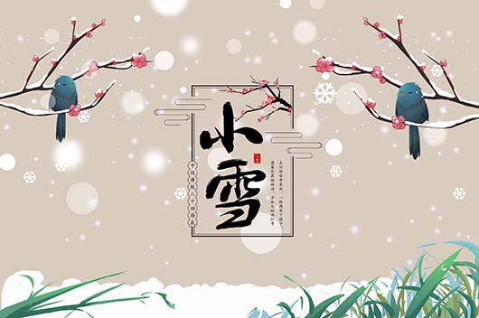 小雪节气下雪意味着什么