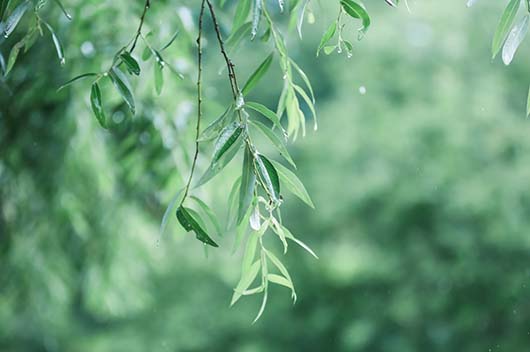 8月10日是什么星座