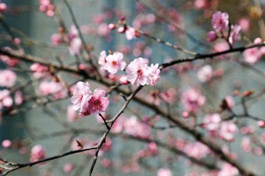 12月13日是什么星座 12月13日是什么星座