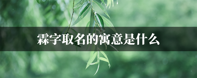 霖字取名的寓意是什麼