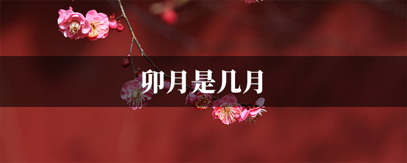 一月为寅月,二月卯月,三月辰月,四月巳月,五月午月,六月未月,七月申月