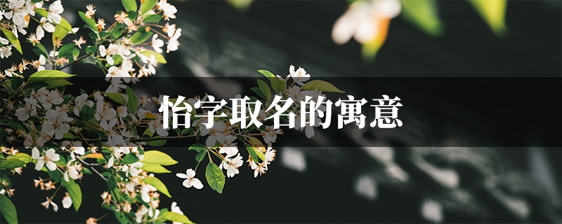 怡字是和悦的样子,喜乐的,使人心神感官愉快的等的意思.