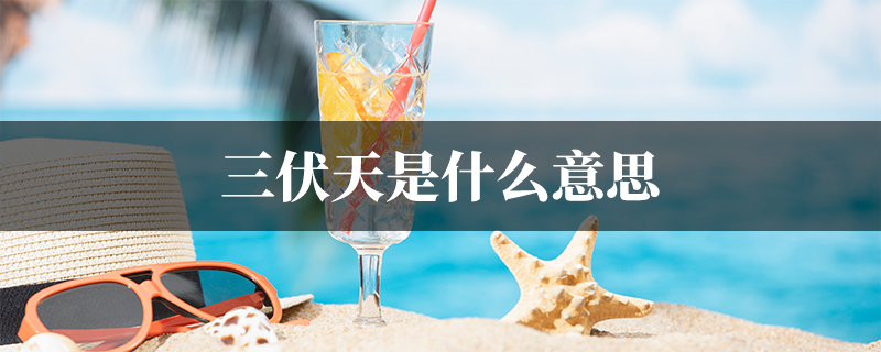 三伏天是什么意思