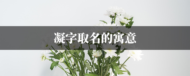 凝字取名的寓意