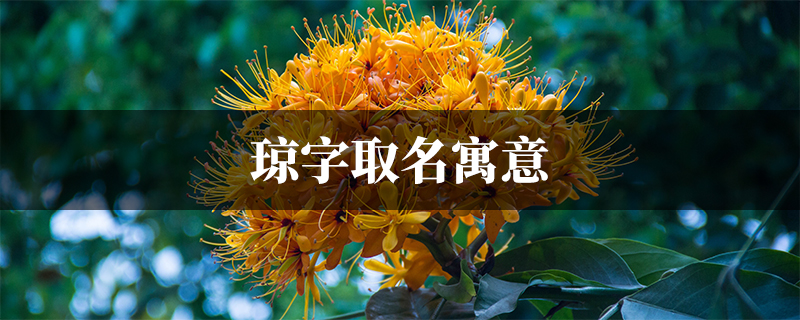 琼字取名寓意