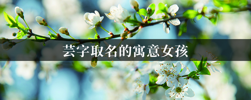 芸字取名的寓意女孩