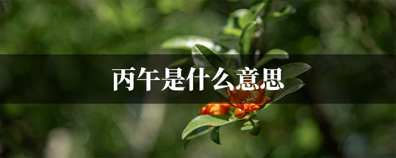 丙午是什么意思