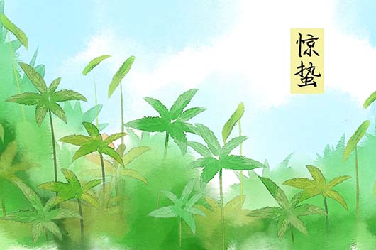 惊蛰是几月几号