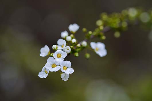 2024年3月4日黄道吉日查询