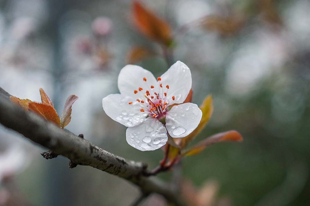 财机现!3月这些生肖将得财神眷顾