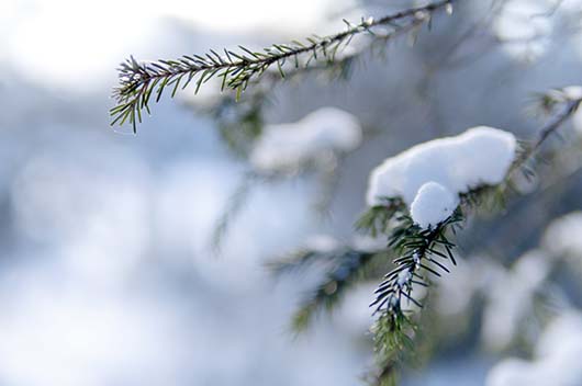 小雪节气的含义是什么意思