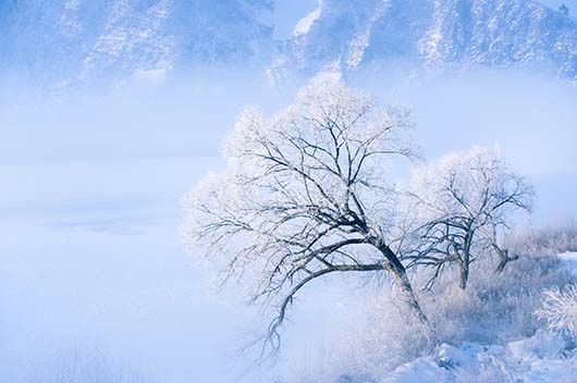 小雪吃三宝是哪三宝呢