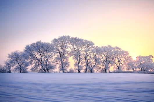 小雪节气吃什么最好