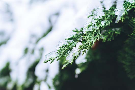 小雪是几月几日2024年