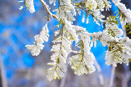 12月这些生肖桃花超旺、感情顺