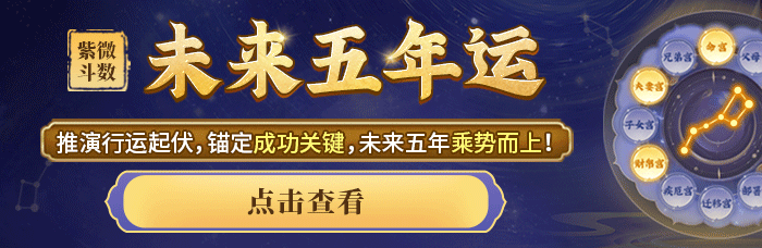 未来五年运